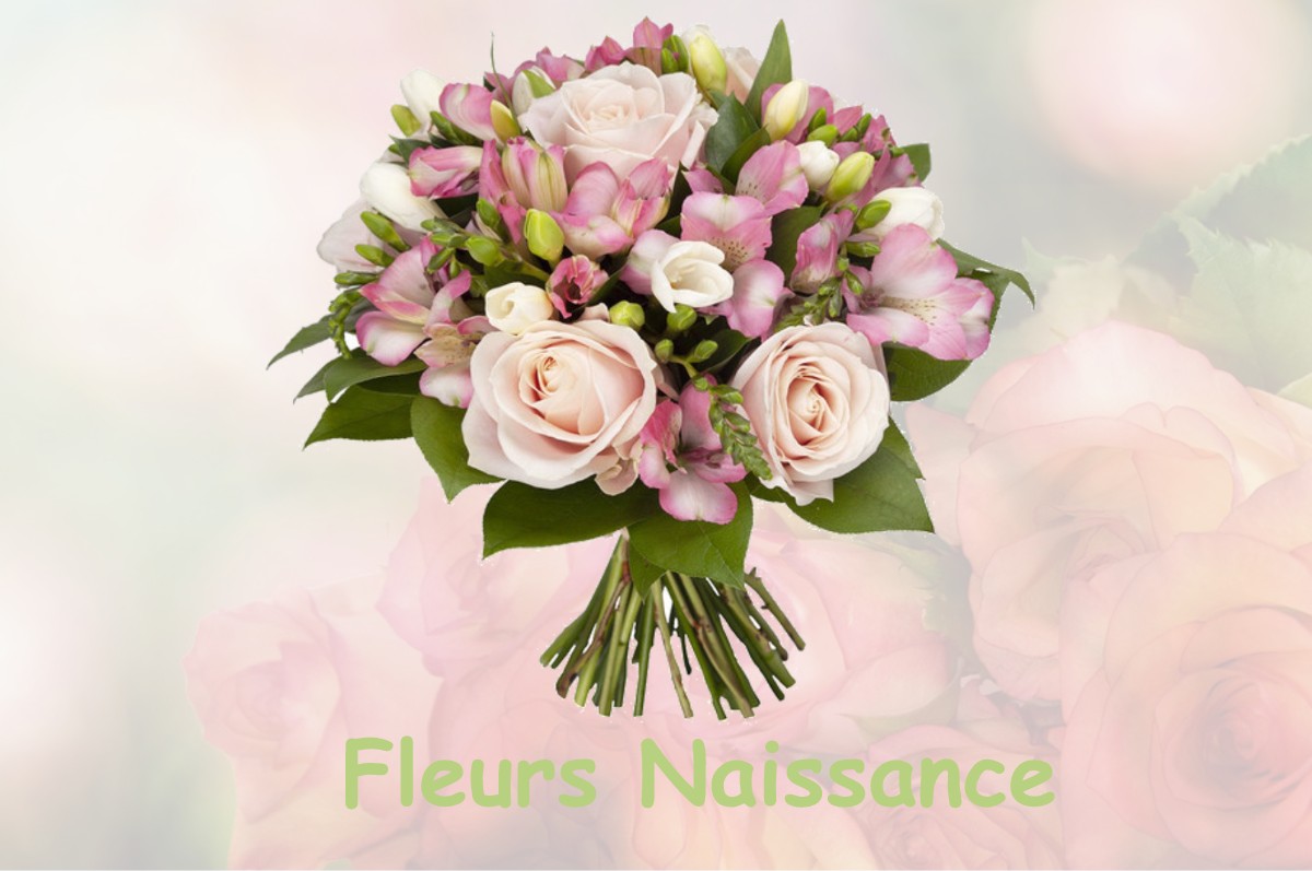 fleurs naissance LAFITTE-VIGORDANE