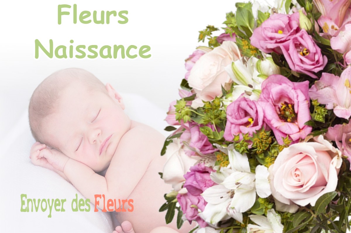 lIVRAISON FLEURS NAISSANCE à LAFITTE-VIGORDANE