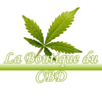 LA BOUTIQUE DU CBD LAFITTE-VIGORDANE 